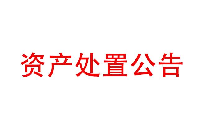 閑置設備資產處置公告(2023-10)